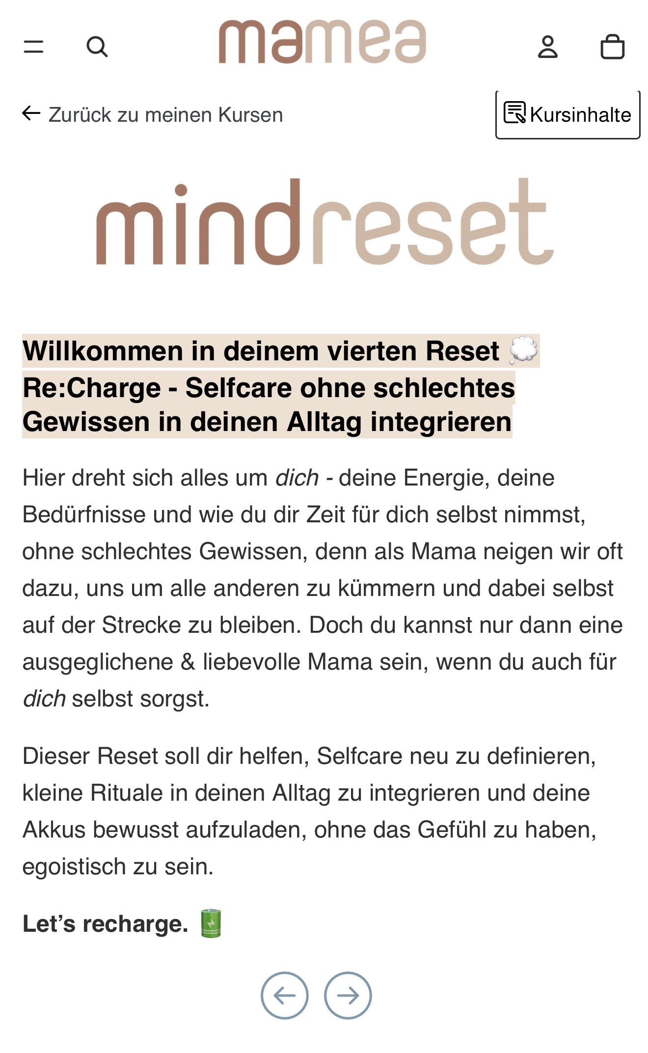MIND RESET